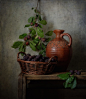 натюрморт,still life,терн,ягоды с тёрном...photo preview