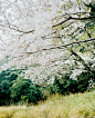 Kitakyushu, Japan, 2015 - Hideaki Hamada Photography