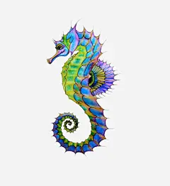 彩色的海马片免抠素材_新图网 https://ixintu.com 创意背景图片海马 海洋生物 深海生物海马 装饰图片海马