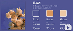 哒小吽&喵呜采集到配色