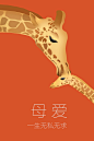 来自相机