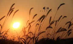 徽色调 #美景# #壁纸#