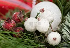 圣诞卡片上的装饰浆果。针叶上的红色和白色结晶体