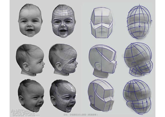 迈克尔汉普顿人体结构-婴儿头像切面