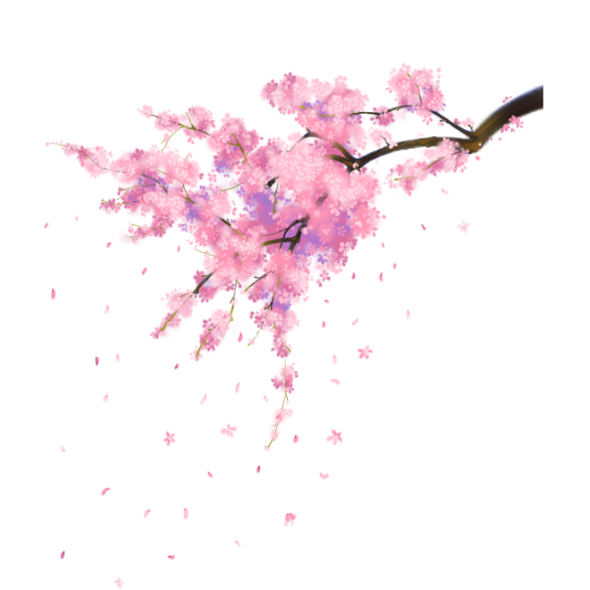免扣背景素材,花，绿植，鲜花，手绘画16