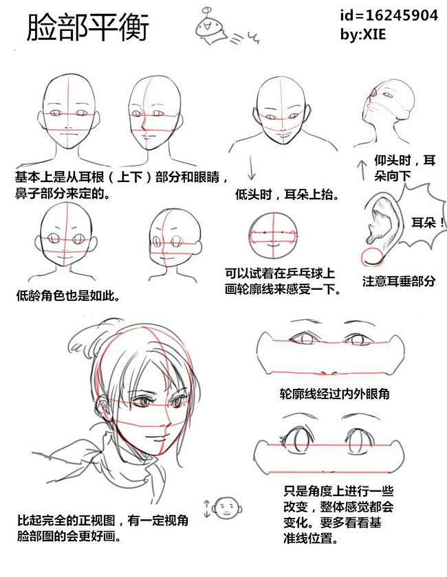 文章-五官&头部角度教程 | 半次元-A...