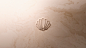 Logo concha e pérola, seashell and pearl logo
