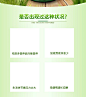 05-保健品 (2)