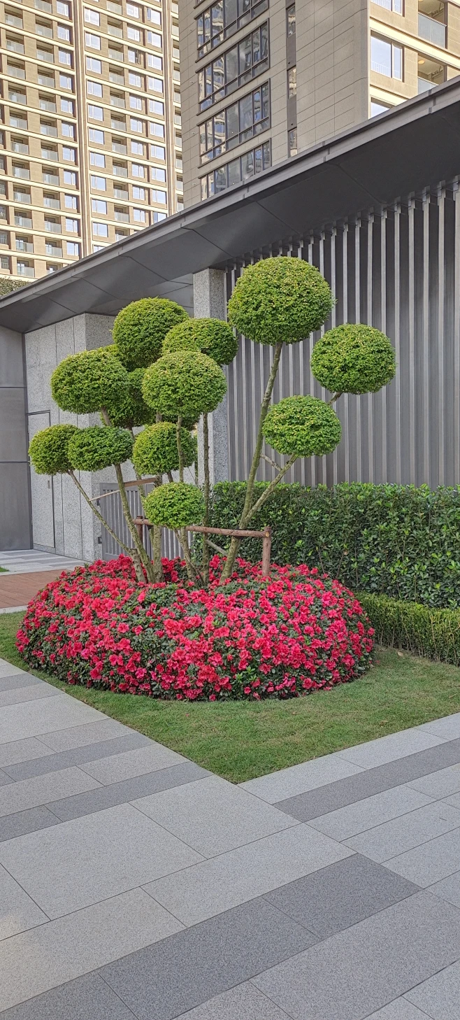 花瓣灵感详情页-花瓣网