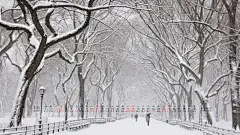 2012年11月日历宽屏桌面图片桌面壁纸2