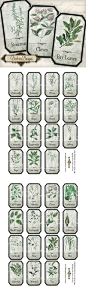 Printable Shabby Herbal Labels by VectoriaDesigns.deviantart.com on @deviantART: 