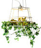植物盆栽吊灯