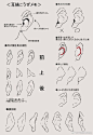 不会画耳朵的来，前上后3角度全面解析 ​​​​