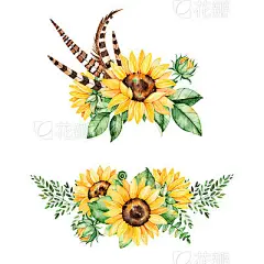 Beautiful floral collection with sunflowers