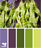 vegetable hues