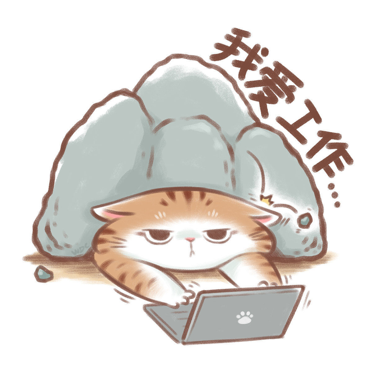林北北叫我派大星