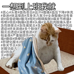 李梓木1采集到小猫表情包