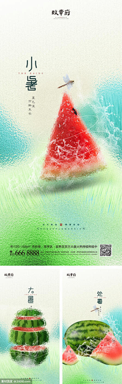 这个夏天没有萤火虫采集到24节气