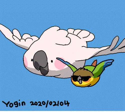 {国人} yogin幺了个菁