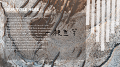 一根鱼竿采集到练手
