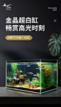 亚峰超白鱼缸玻璃缸生态客厅小型家用斗鱼金鱼缸桌面新款水族箱长方形 25*16*18cm超白缸（送礼包）【图片 价格 品牌 报价】-京东