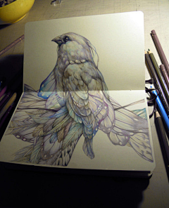 小落兔子采集到彩铅插画