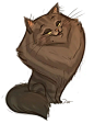 Daily Cat Drawings : Photo