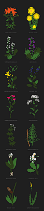 绿色植物系产品包装设计 (6).jpg