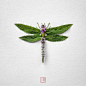 Natura Insects: A series of Insects made of Flowers