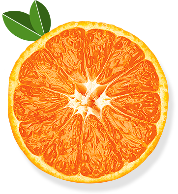 v3_visual2.png (362×...