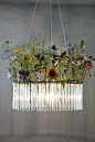 20 % OFF Maria S.C. single test tubes chandelier / lamp / // vase / floral decoration