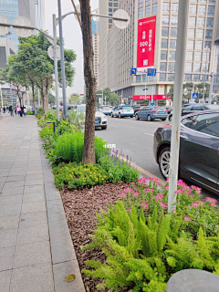 一而再再而三˙ϖ˙采集到B 街道、道路