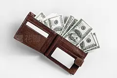 Dollars in wallet