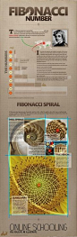 Fascinating. Fibonacci SPIRAL