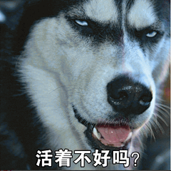 迷惑 表情包的搜索结果_百度图片搜索