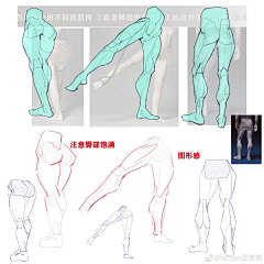 歪木歪果采集到人体结构