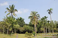 我在海南琼海租住的绿色生态小区什么样实拍, 刘星云旅游攻略