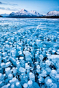 frozen lake bubbles. alberta, canada #美景# #摄影师# #摄影比赛#