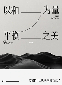天平只是秤采集到海报-版式