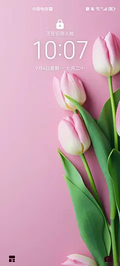 扁平简约风 粉红色郁金香手机壁纸