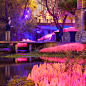 夜间花园 night garden by dwg. : dwg ：夜晚的花园是梦想的空间。dwg.设计团队把奥斯汀的城市小溪变成了一个关于城市生态体验花园的艺术作品。