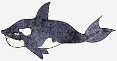 蓝色鲸鱼涂鸦高清素材 动物 卡通鲸鱼 手绘鲸 海洋 海洋生物 涂鸦 蓝色手绘 鲸鱼 免抠png 设计图片 免费下载