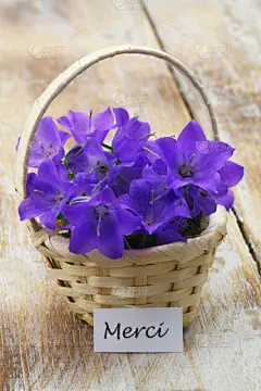 贺卡,篮子,小雕像,塞满了的,垂直画幅,消息,墨水,木制,柳条,花束