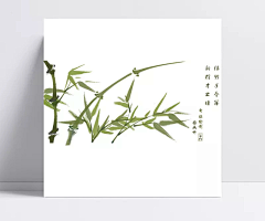 绿叶广告印务①林采集到の祭夏灬忆露