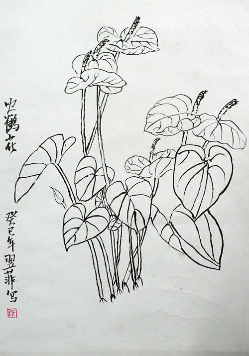 20:43:38红掌白描窗棂上的猫咪该采集也在以下画板加载更多