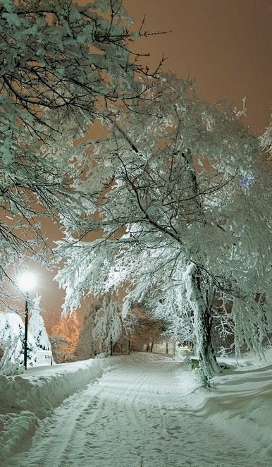 雪夜俄罗斯