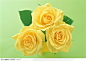 花的彩绘-三朵漂亮的玫瑰