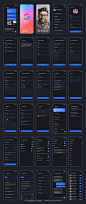 200多屏求职应聘招聘找工作app界面设计蓝色ui套件明暗模板下载_颜格视觉