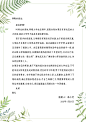 感谢领导清新文艺信纸