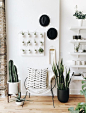 Plants really make your house a home. Great inspiration from an amazing Chicago based shop.